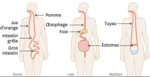 1627961518 821 Pourquoi il est si important de comprendre comme vos apprenants &mdash; Blog pourquoi,apprenants,monde,comment,faire,expérience,marteau,clou